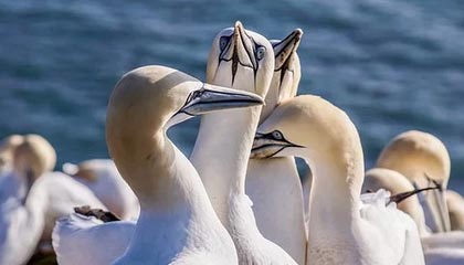 开云足球-青训投入与产出失衡矛盾突出，青训投入与产出失衡矛盾突出问题