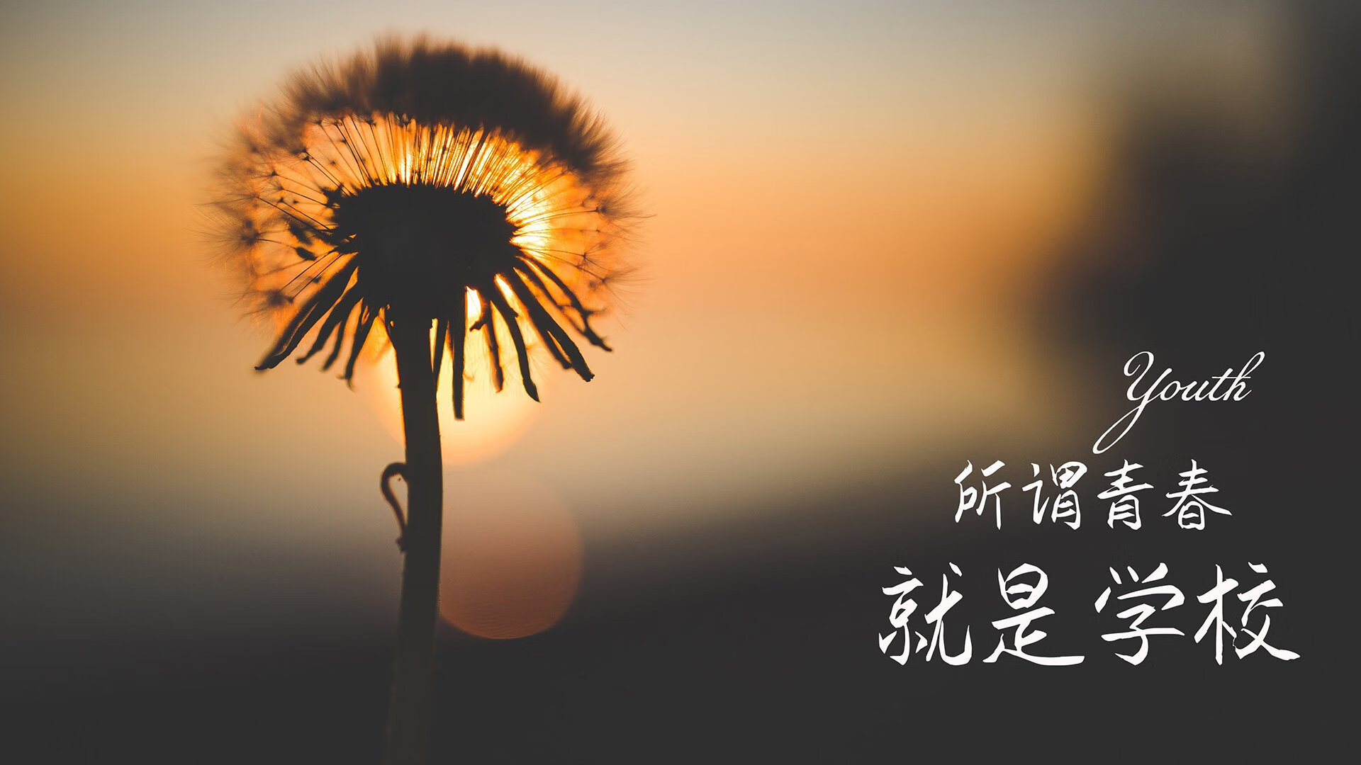 开云·体育官网APP下载-伊朗男足在巴黎奥运会比赛中以2-1战胜葡萄牙，伊朗男子足球队