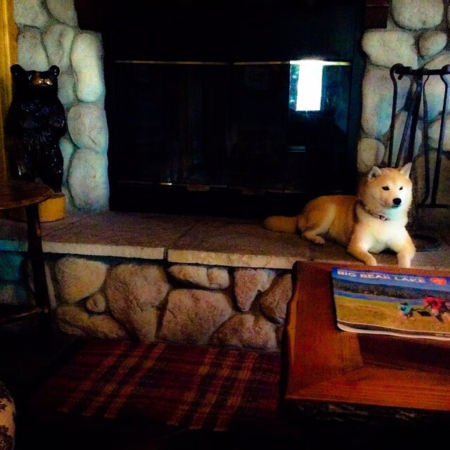 篮球运动员专项体能训练负荷调节及恢复方案研究,篮球运动员如何恢复体能