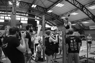 kaiyun官方入口登录-“2025世界游泳锦标赛：水上芭蕾精彩纷呈，艺术之美与竞技并行”