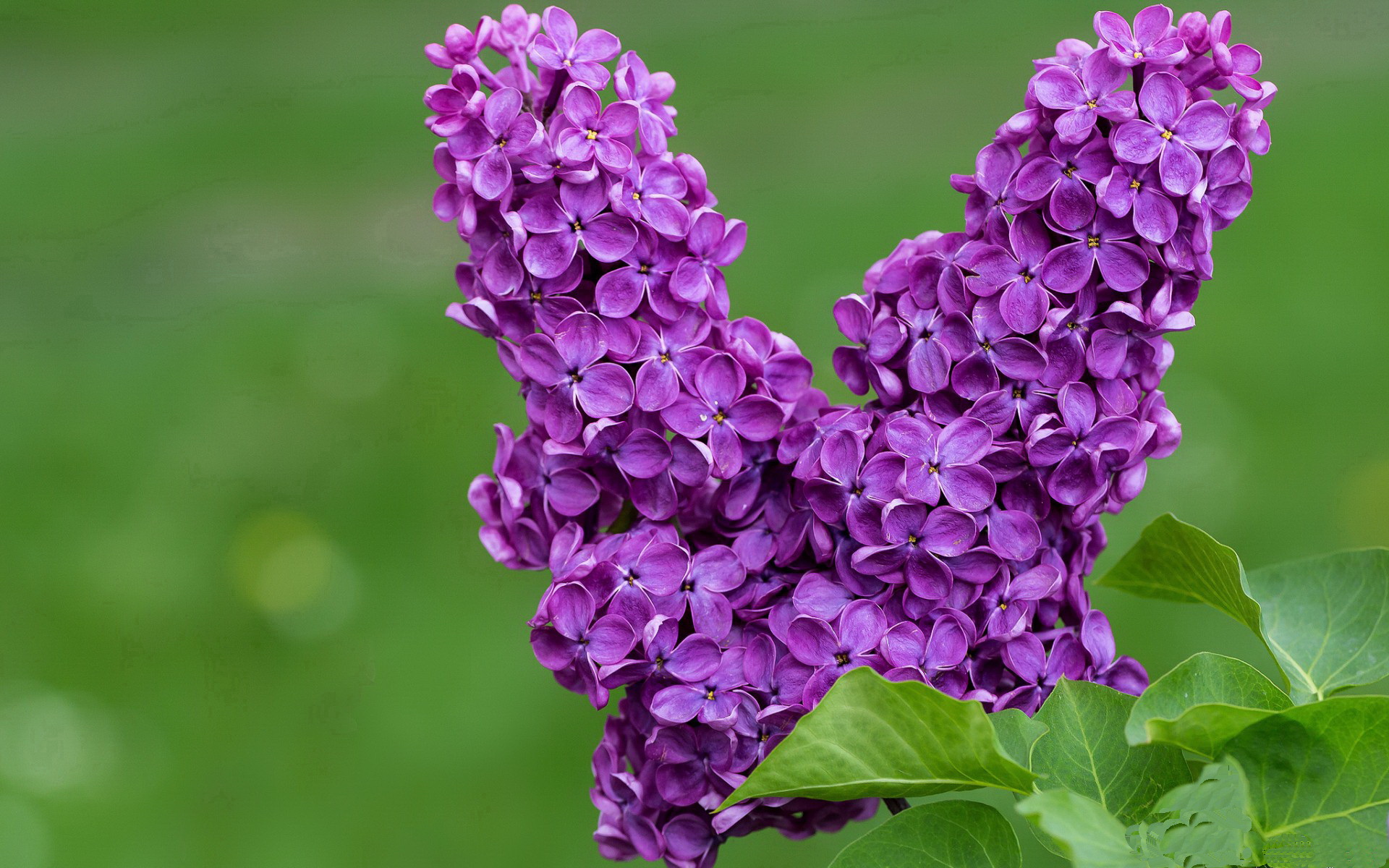 kaiyun网站-“武汉马拉松：全民健身与精英选手同台竞技”