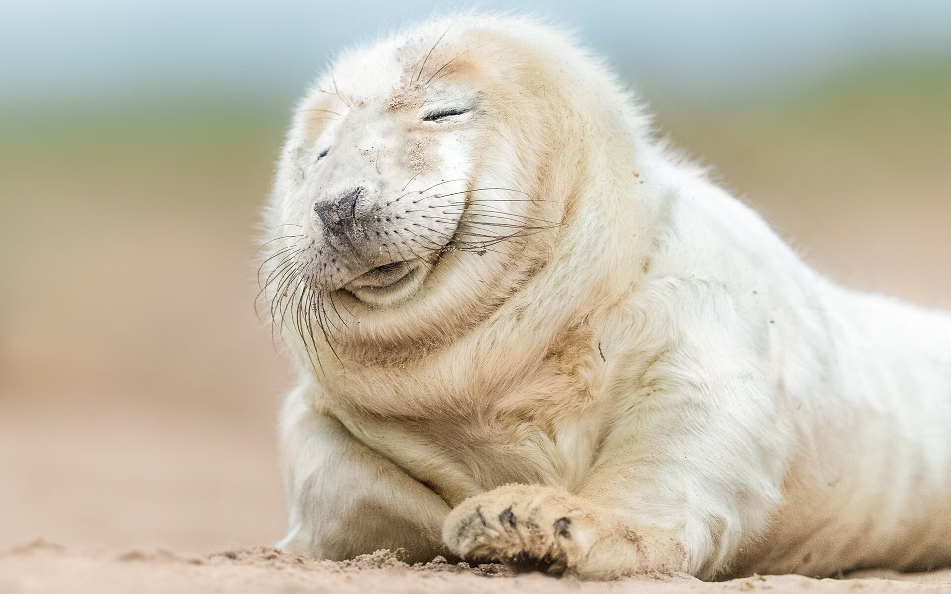 加拿大乒乓队未来发展：如何加强球员心态与技术的双重提升，加拿大 乒乓球队