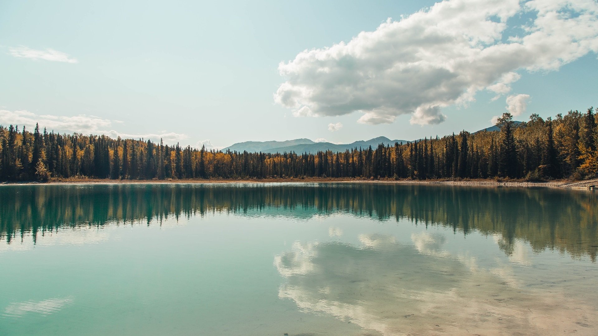 开云kaiyun-数据透视：技术动作与心理状态关联，数据透视法