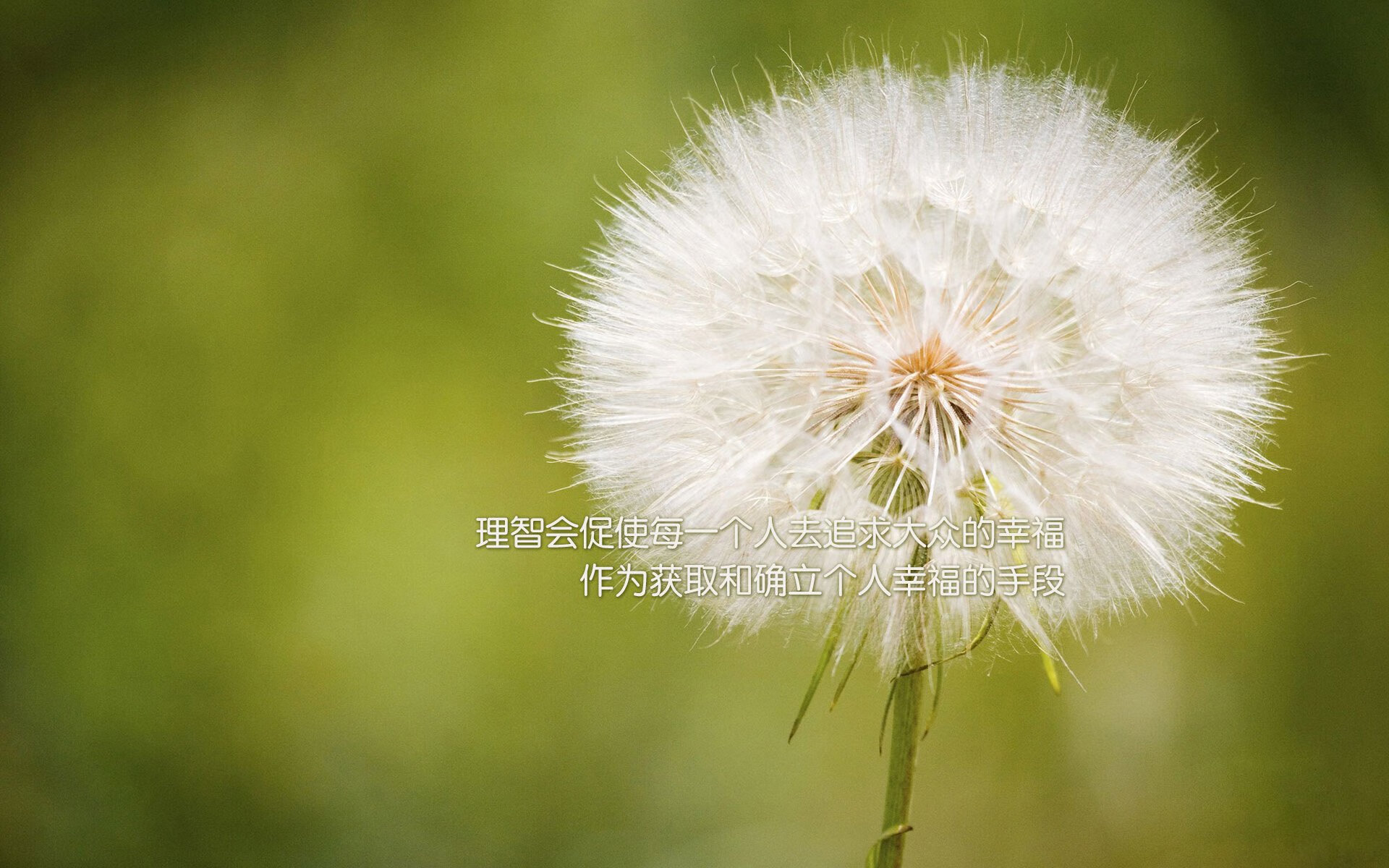 运动员体重控制系统引发讨论,运动员合理控制体重的关键因素