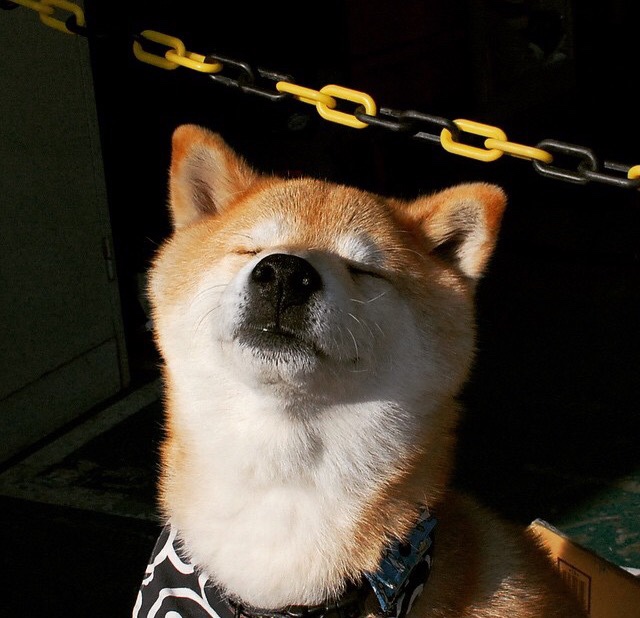 开云网页版登录入口-基层联赛冠军受邀观看国家队比赛体验职业氛围提升梦想感，国家队训练赛