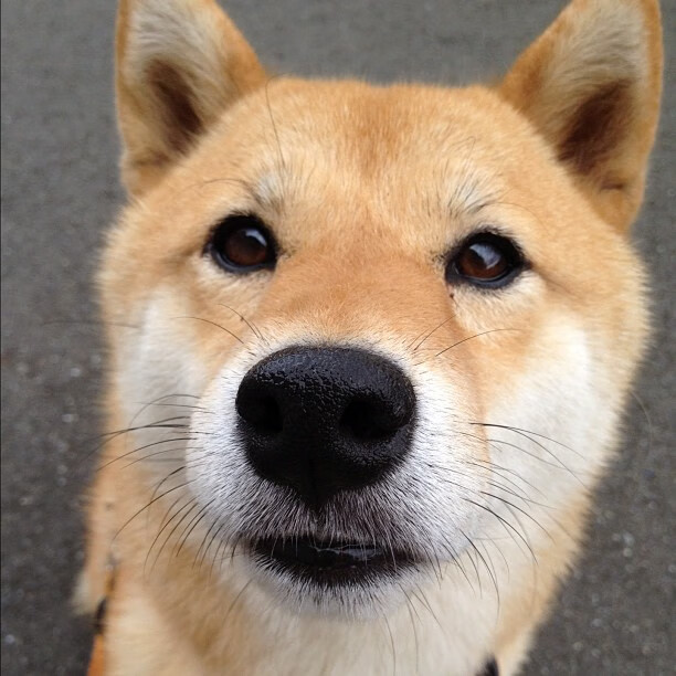 英超神奇逆转：奋勇追击，胜利属于不放弃的人！，英超励志前锋