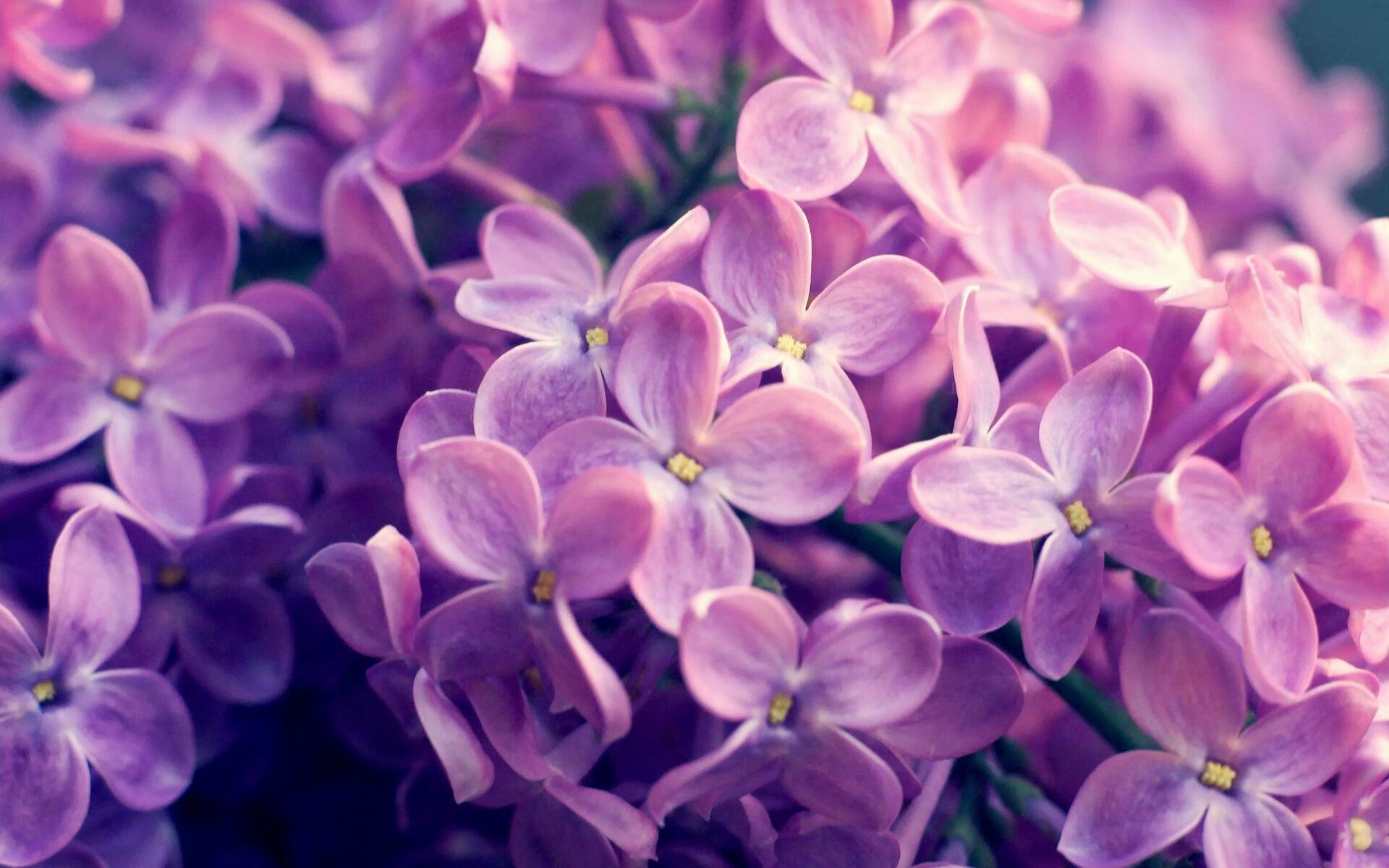 西班牙国家队主帅变更，战术调整迎新挑战