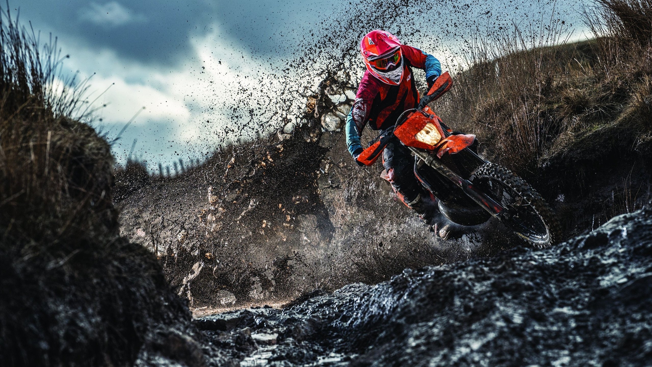 篮球专项体能训练课程体系构建与实施，篮球运动体能训练主要内容