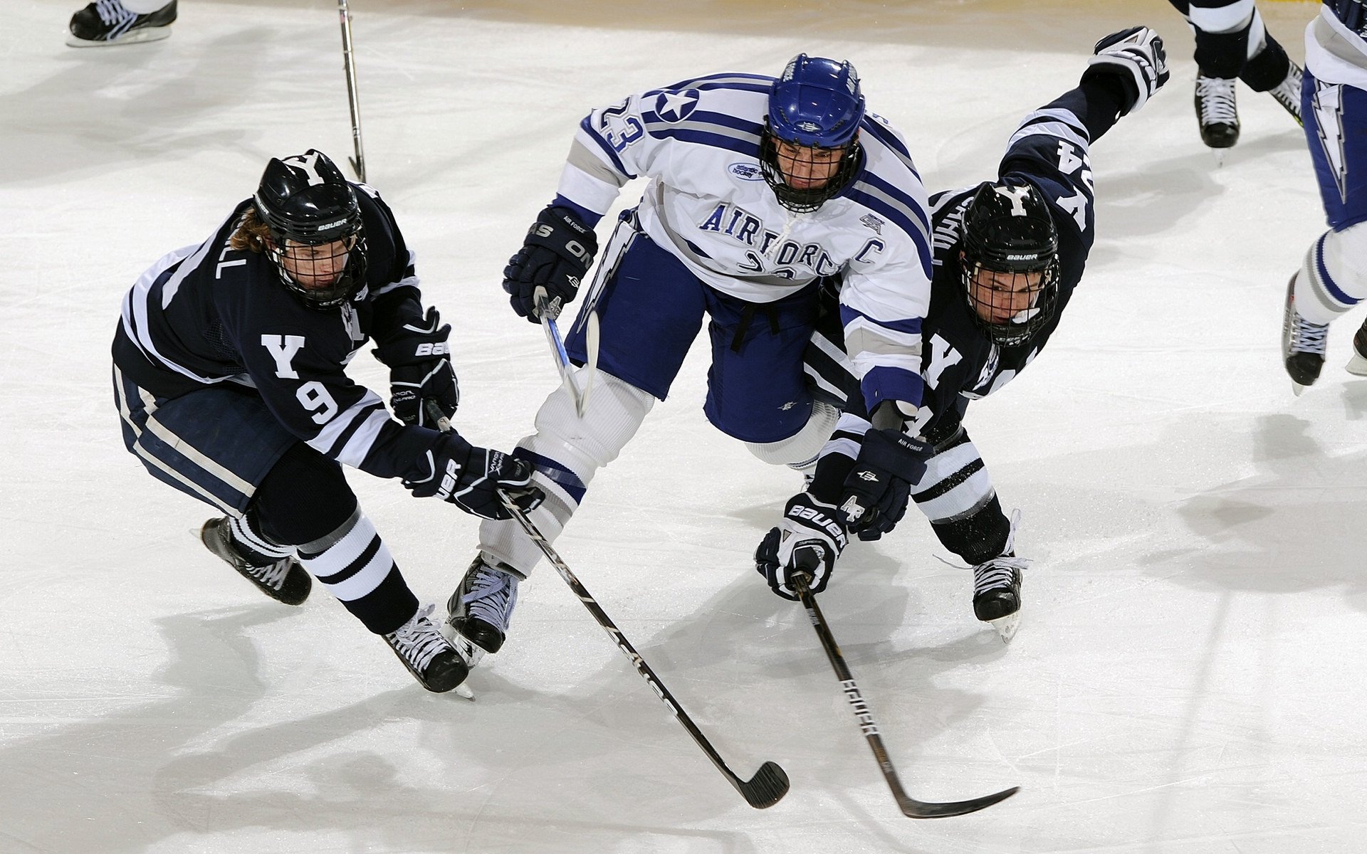 高校体育课程质量保障体系研究，高校开展体育课程的意义